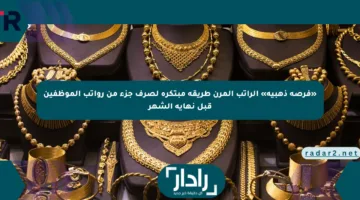 «فرصة ذهبية» الراتب المرن طريقة مبتكرة لصرف جزء من رواتب الموظفين قبل نهاية الشهر